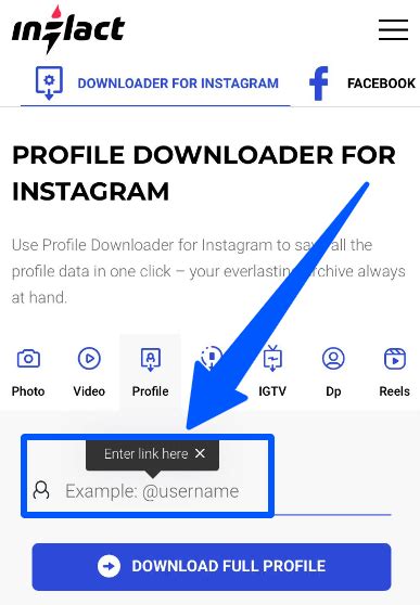 Instagram Profile Downloader: Save Quality Profile Pictures .